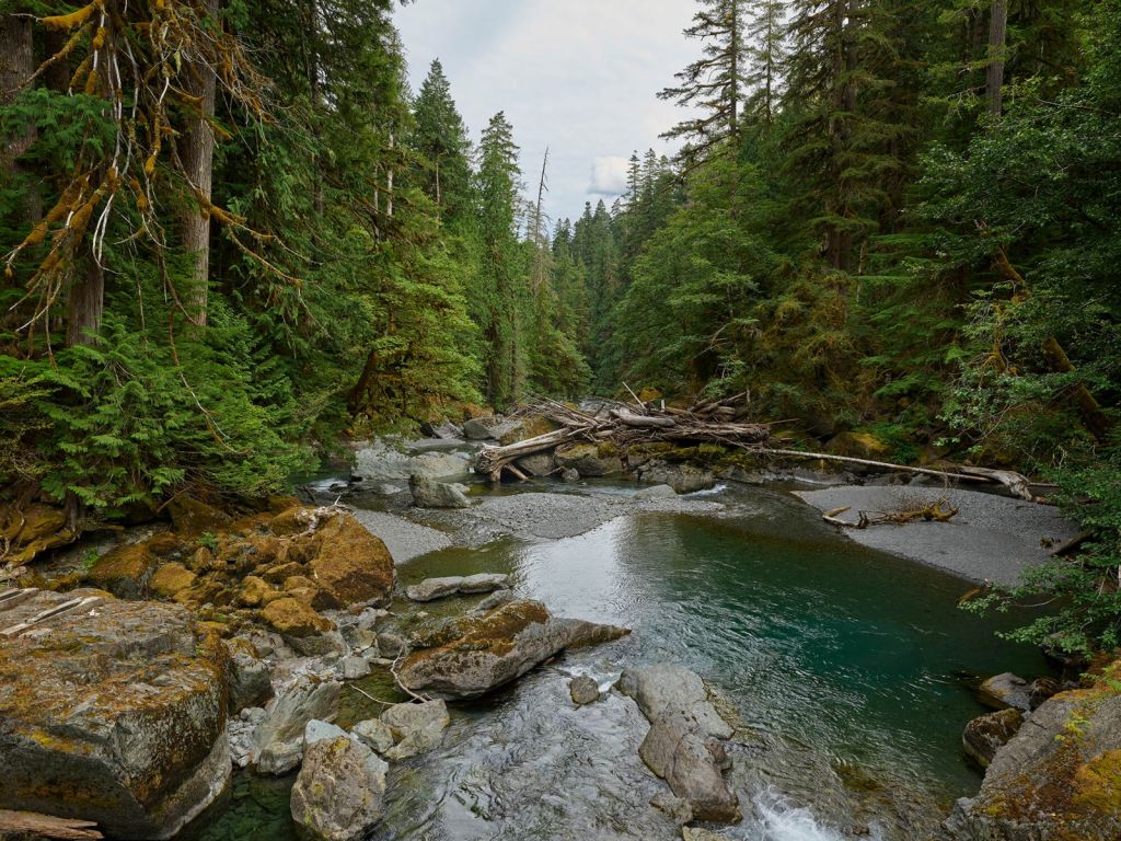 Rivière avec barrage