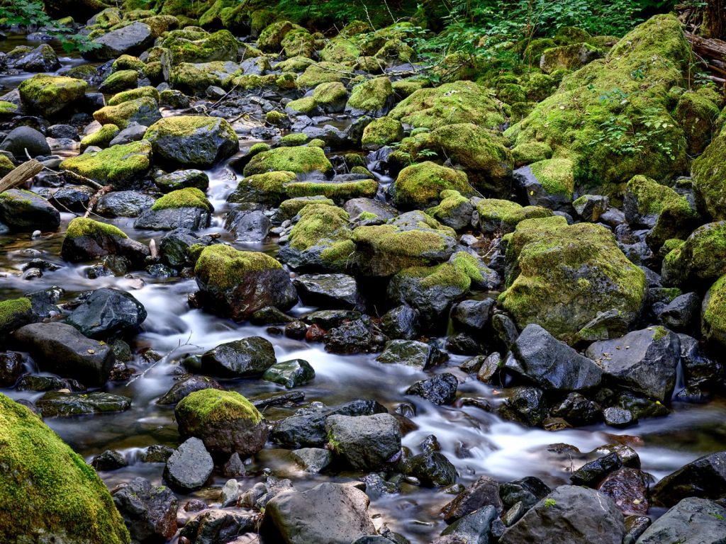 L'eau courante avec des rochers