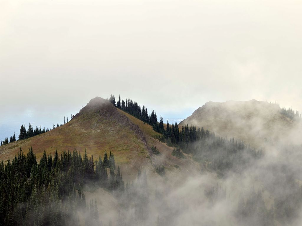 Montagne dans le brouillard
