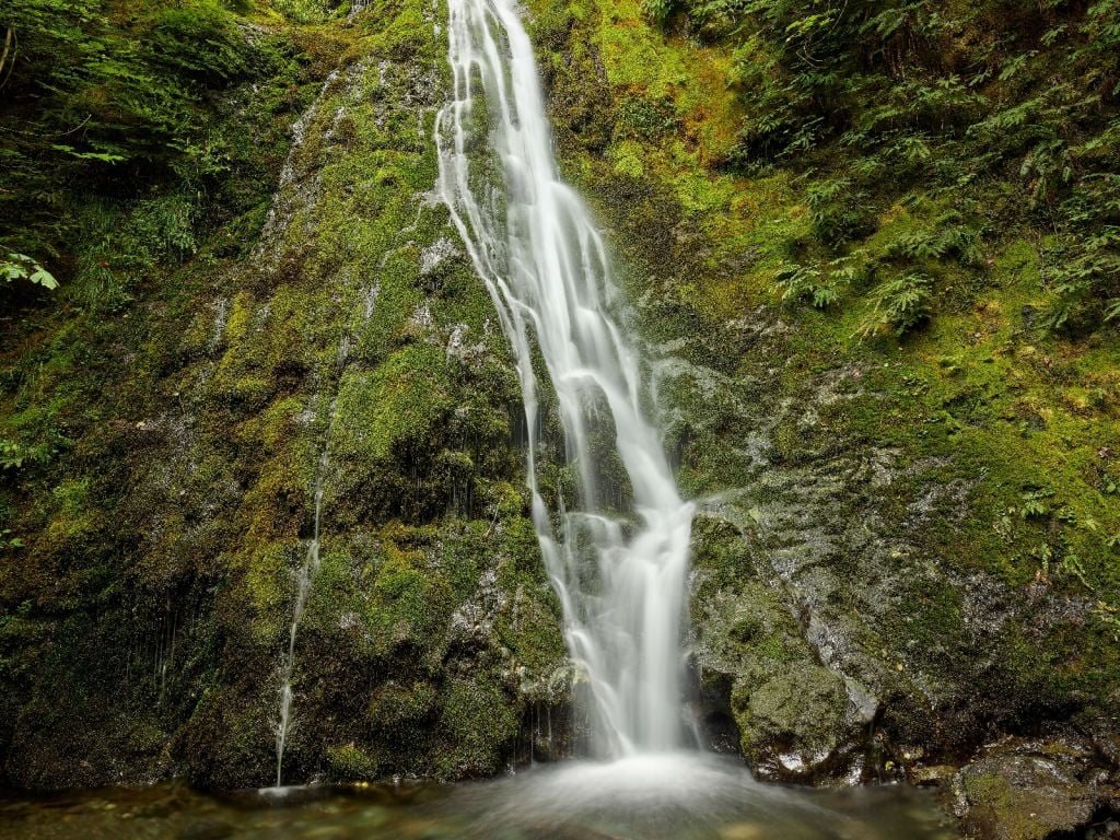 Chute d'eau avec une belle verdure