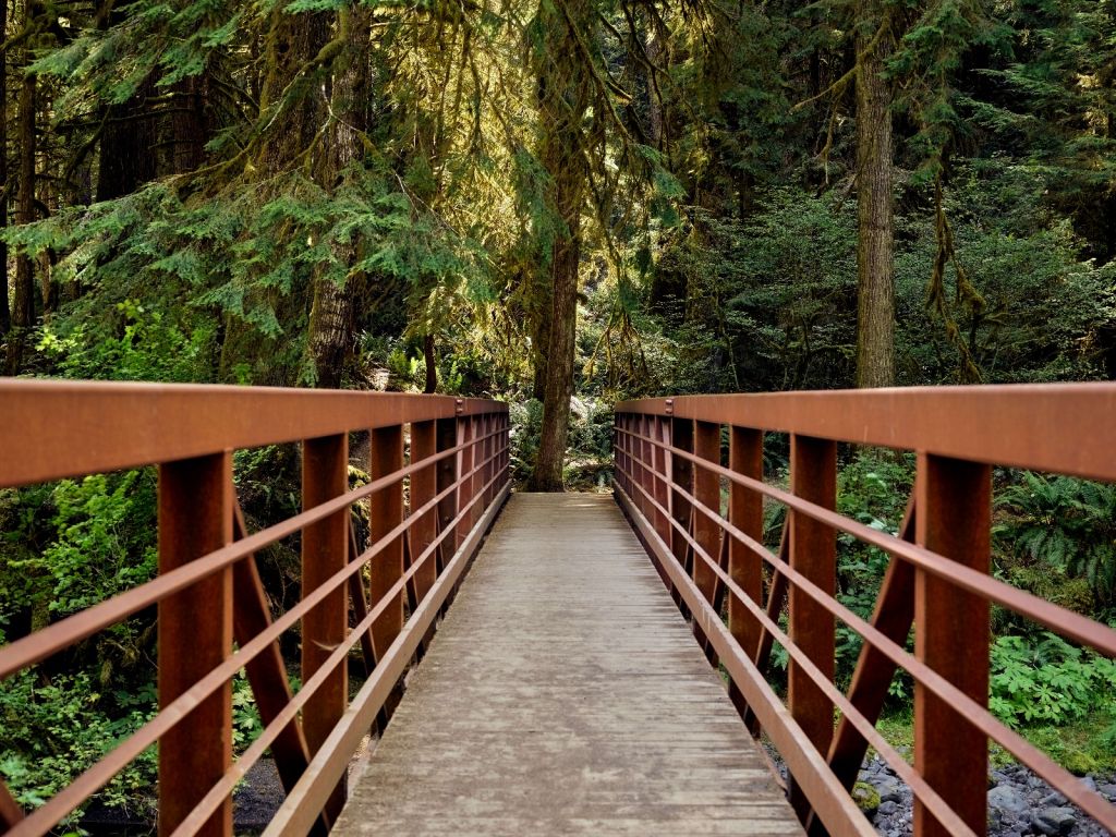 Pont rouillé dans la forêt