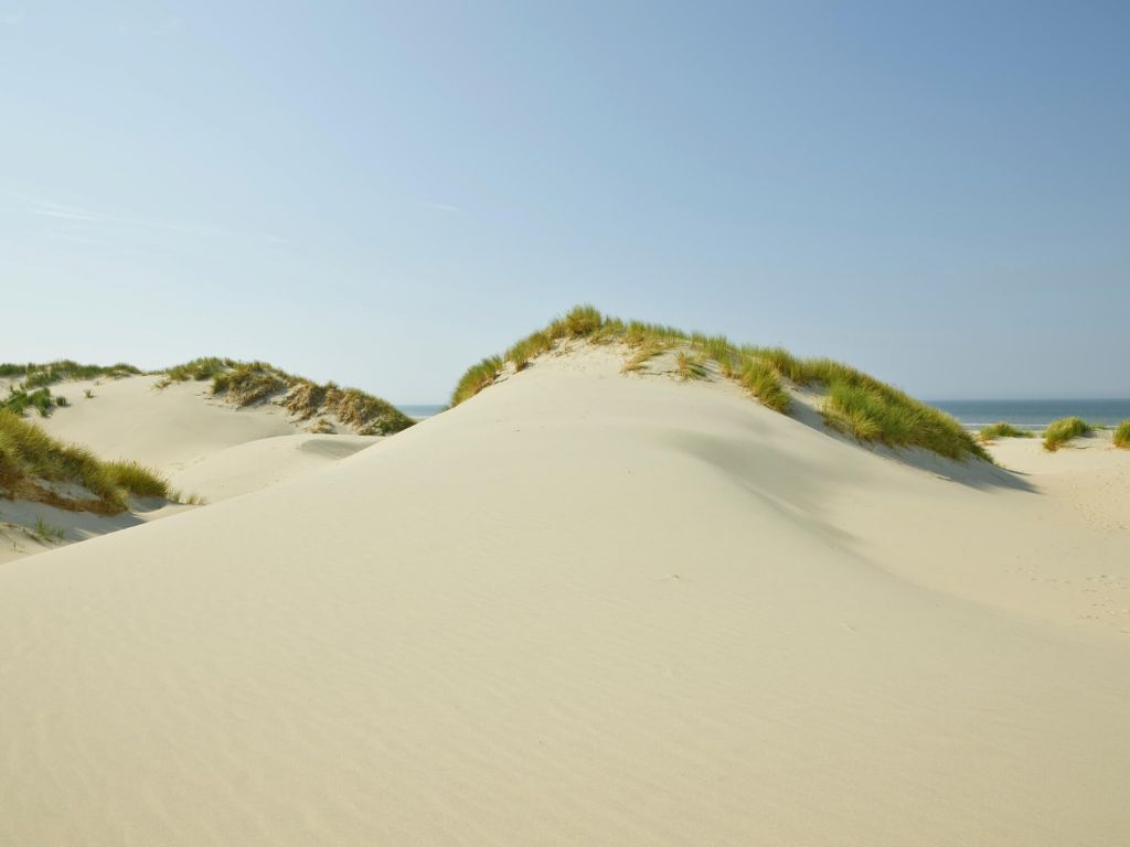 Dunes sur la plage
