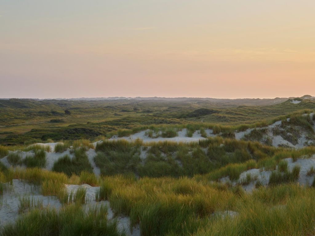 Coucher de soleil dans les dunes