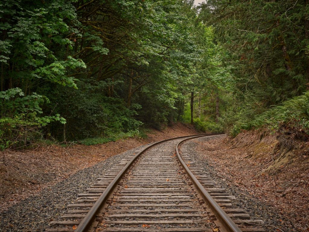 Ligne de chemin de fer à travers la forêt