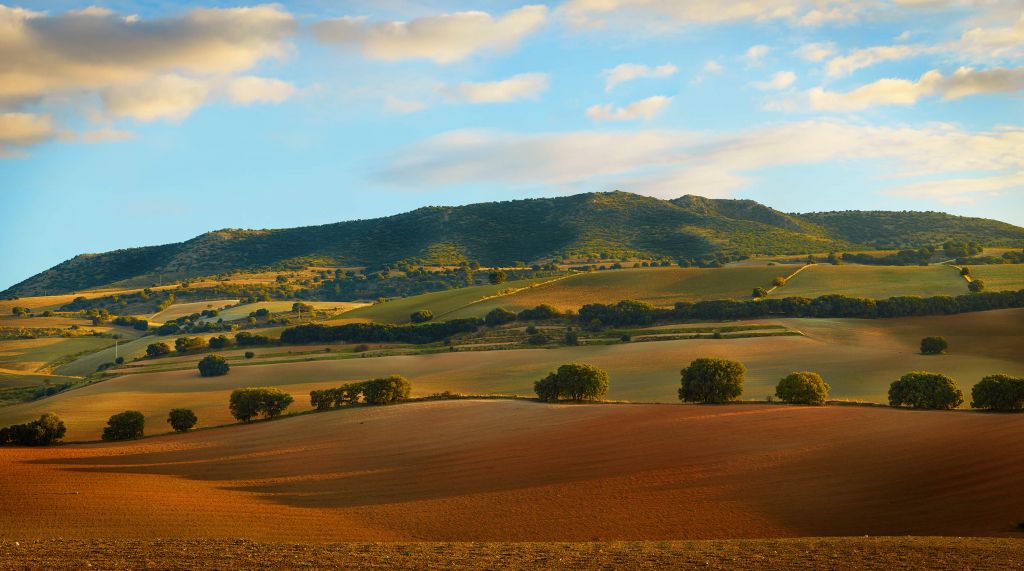 Paysage de collines