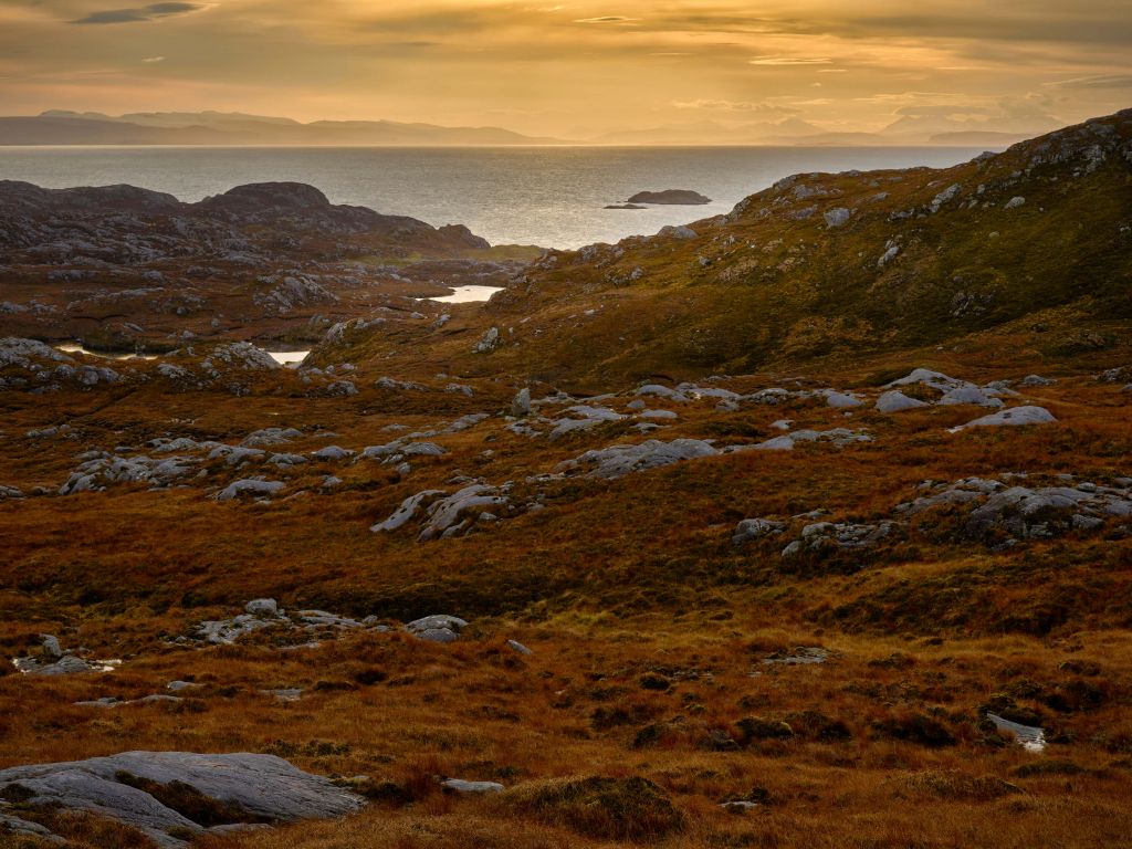 Soleil levant sur la côte