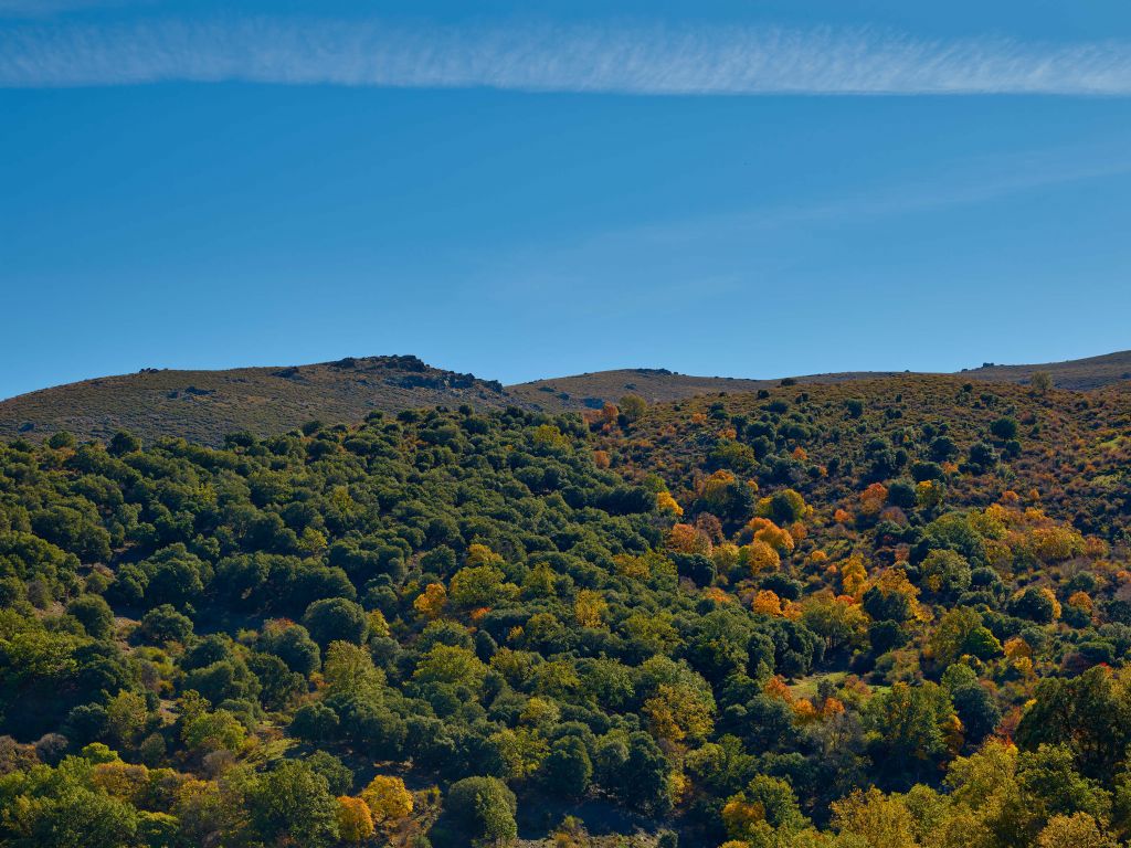 L'automne dans les montagnes