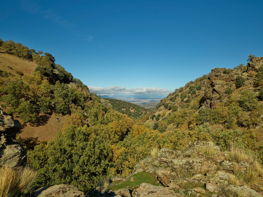 Regarder à travers le paysage de montagne