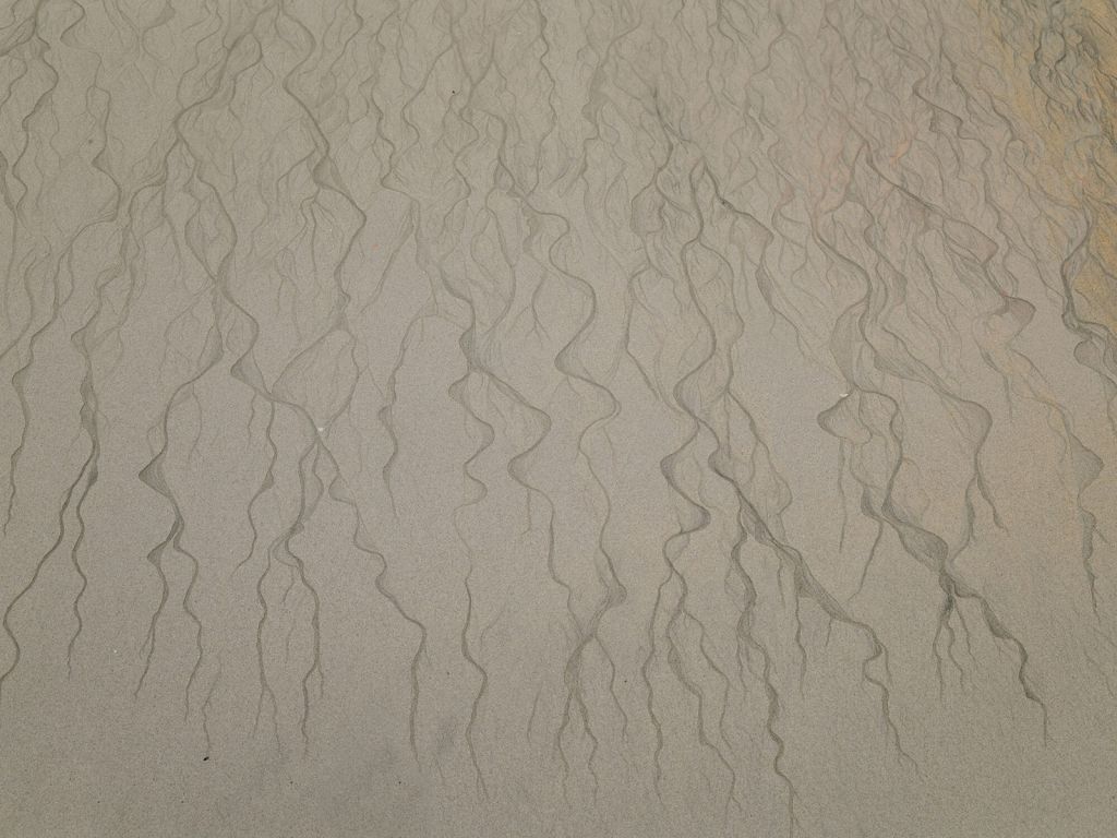 Veine dans le sable