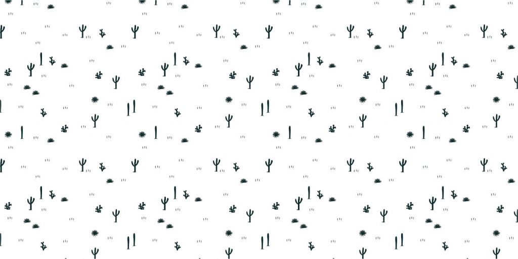 Patrouille de Cactus
