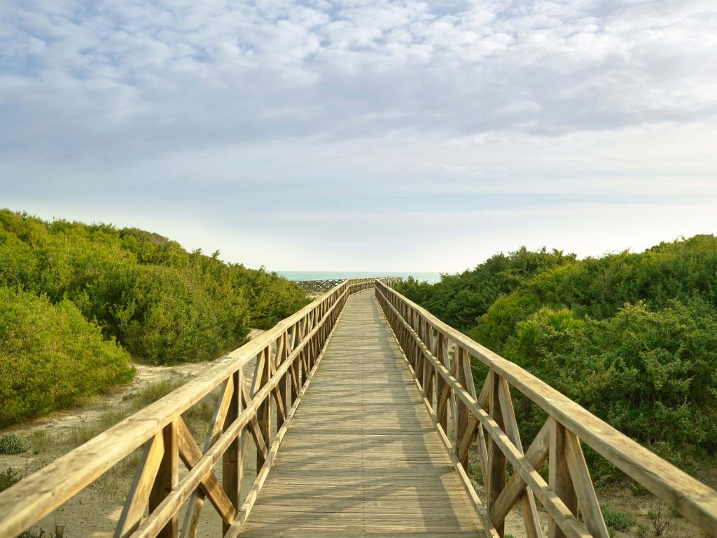 Échafaudage à la plage