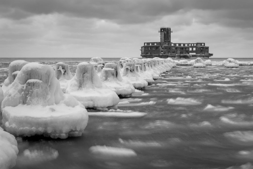 Des épis en noir et blanc