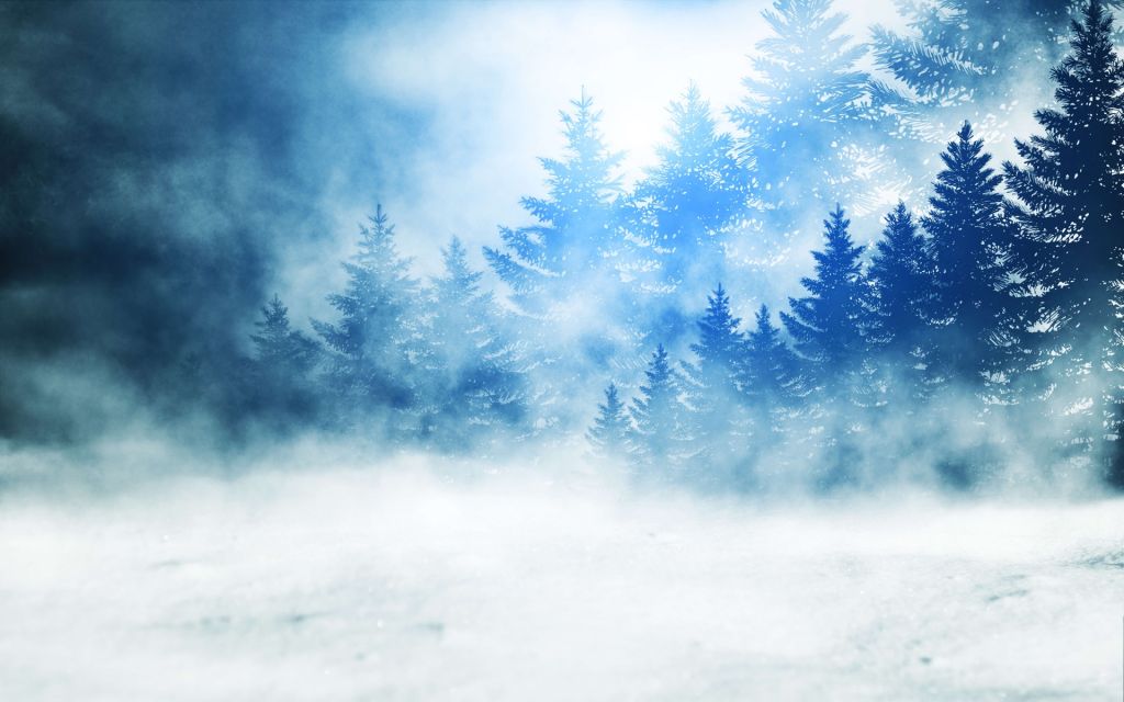 Une forêt sombre et enneigée