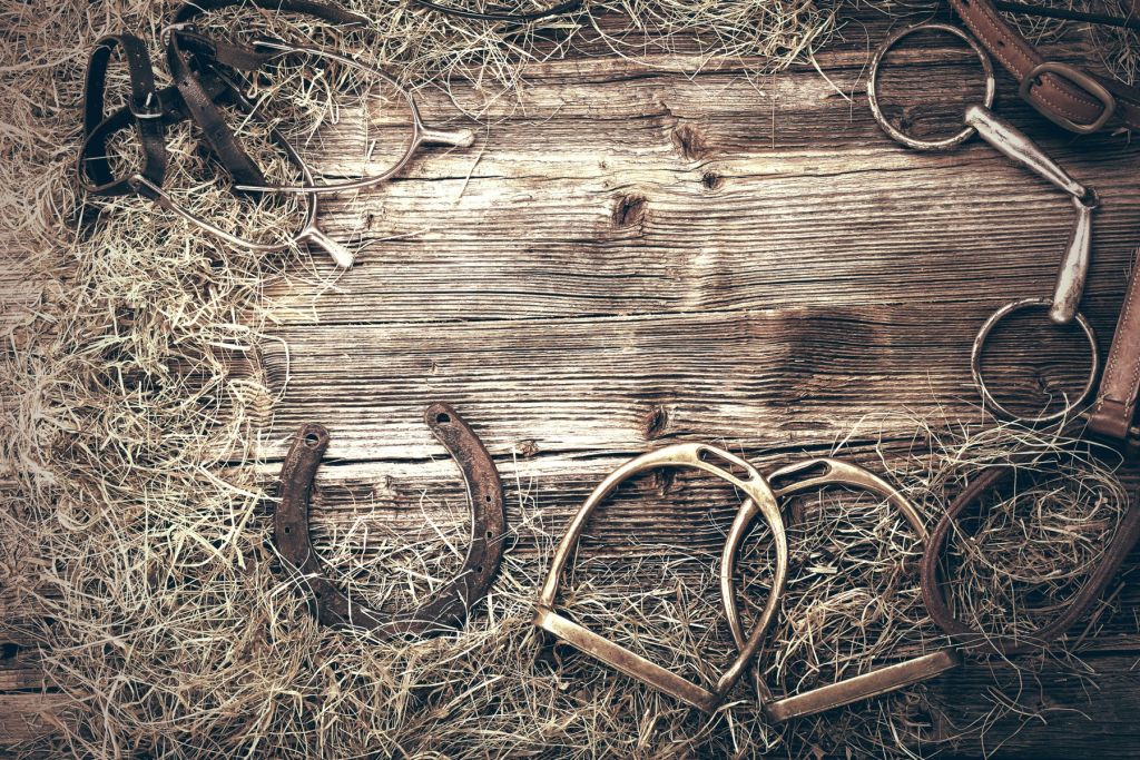 Équipement pour les chevaux