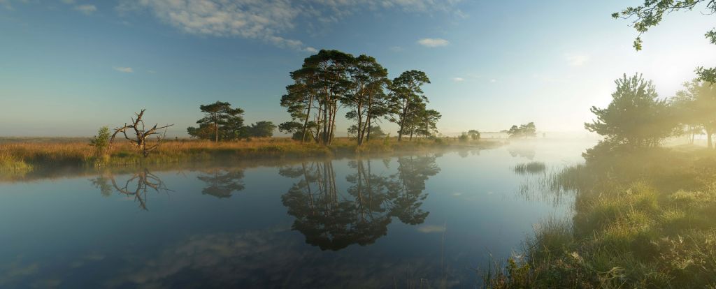 Réflexion dans la lande