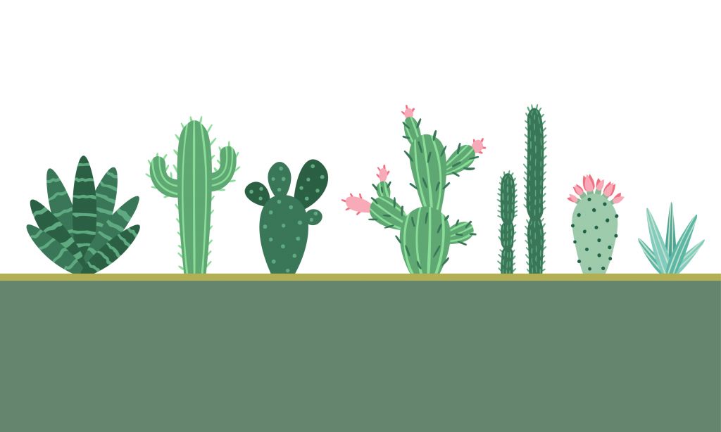 Surface verte avec des cactus