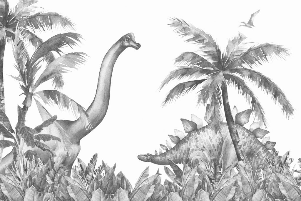 Dinosaures en noir et blanc