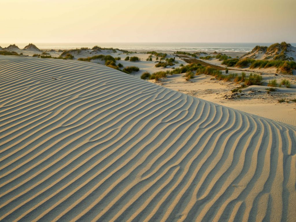 Dunes au coucher du soleil