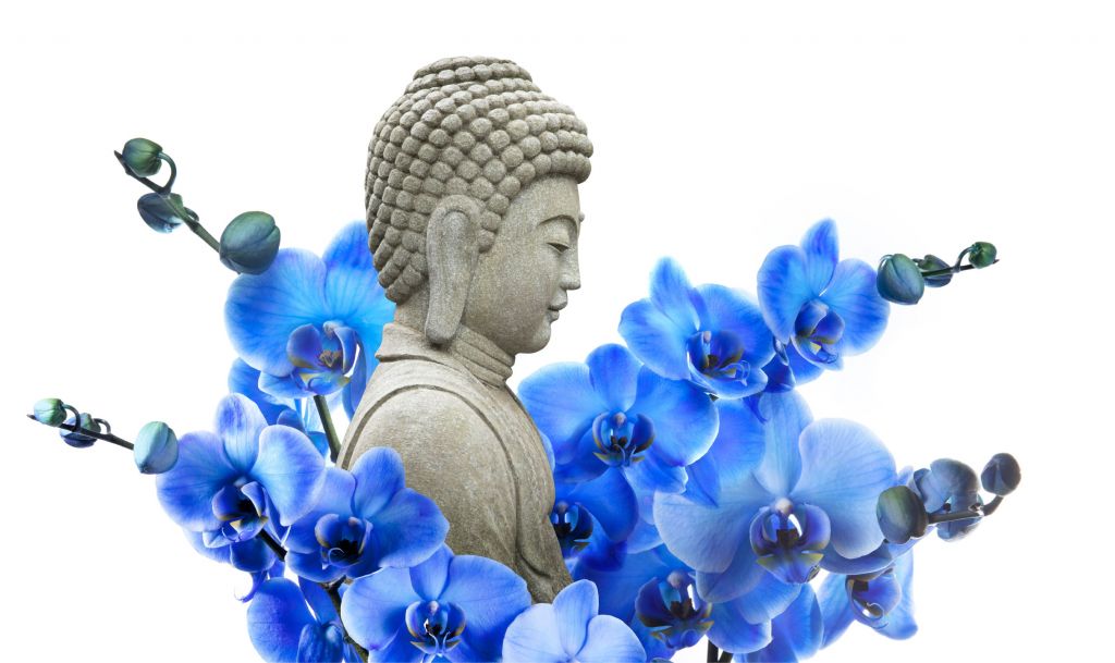 Bouddha et les orchidées