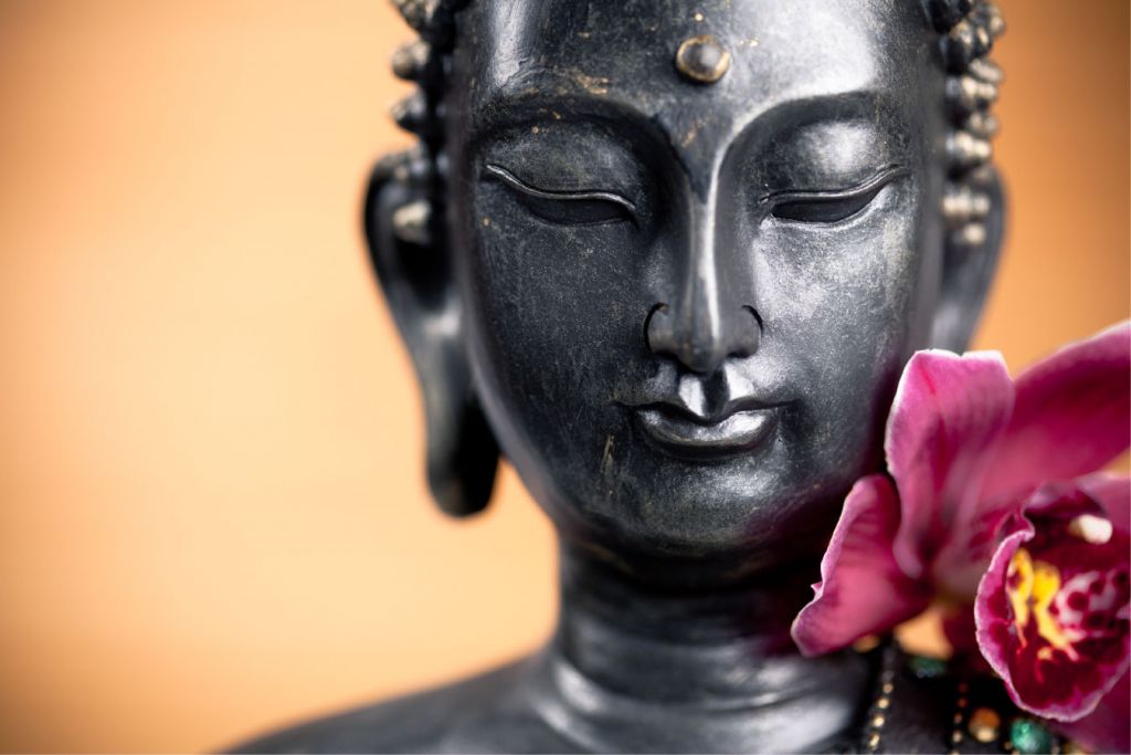 Bouddha et l'orchidée rose
