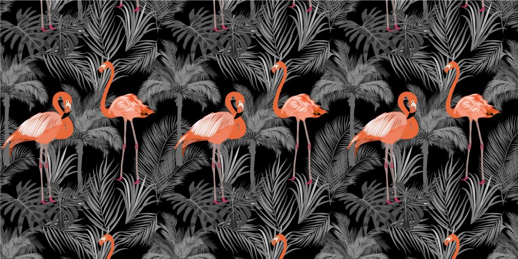 Flamants sur fond noir
