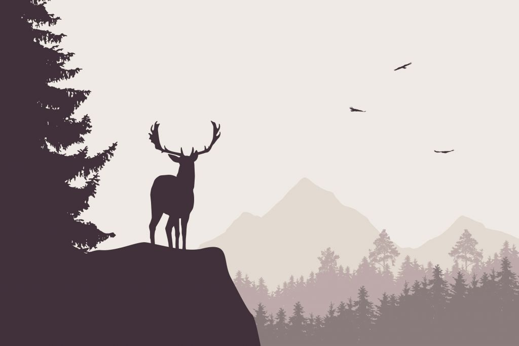 Silouhette d'un cerf