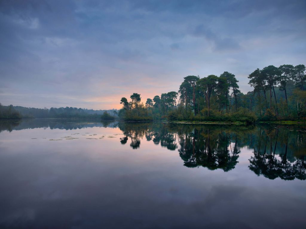 Reflets de la forêt dans l'eau au soleil levant