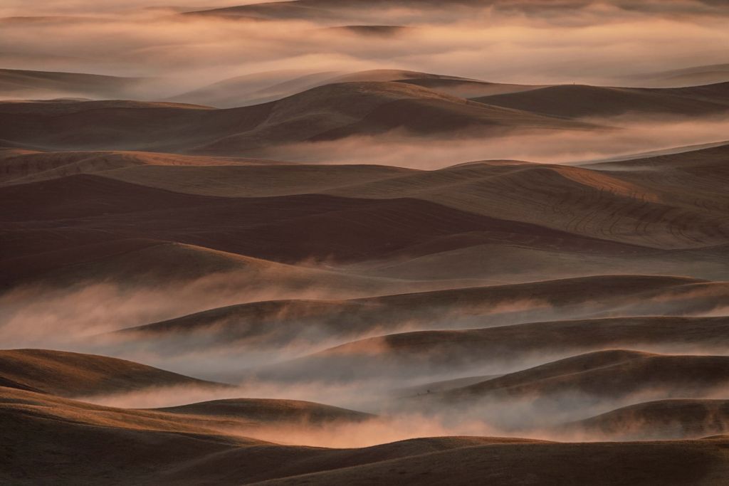 Early Spring Morning at Palouse