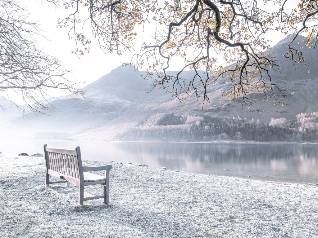 Banc au bord d'un lac apaisant