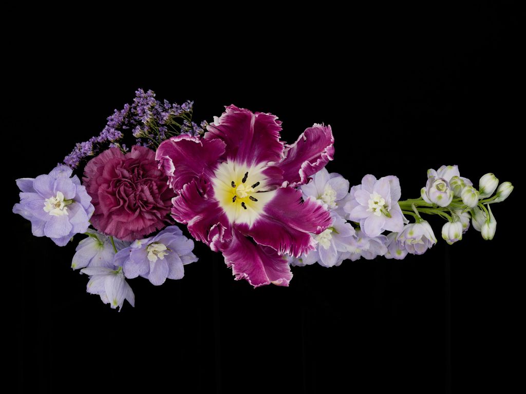 Bouquet de fleur