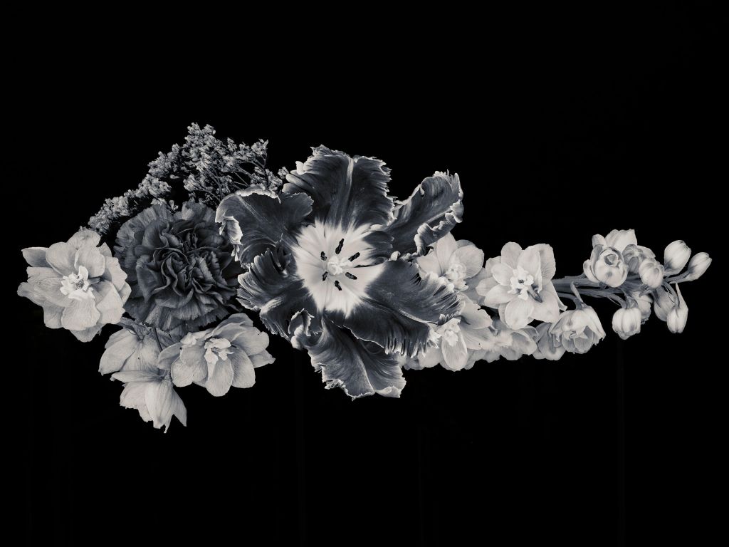 Bouquet de fleurs noires et blanches