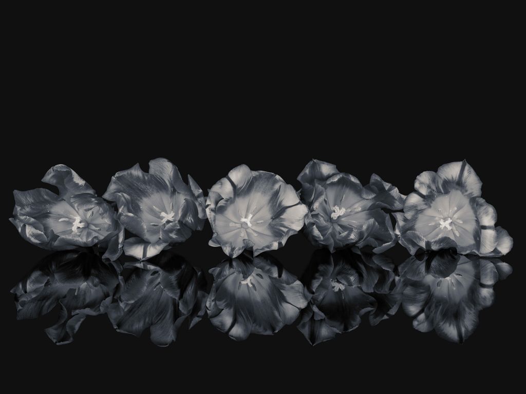 Bouquet en noir et blanc