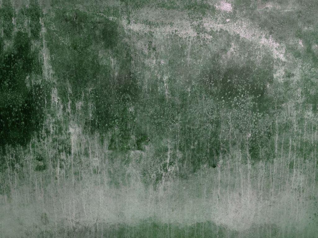Vieux mur vert dégradé