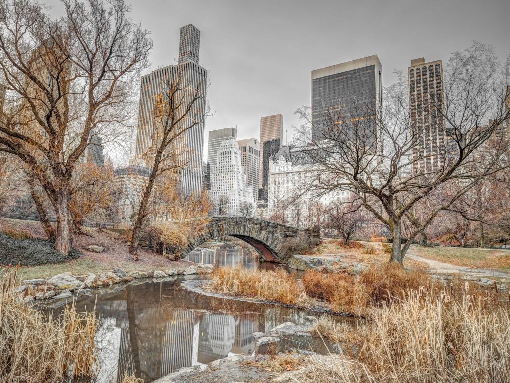 Central park en hiver