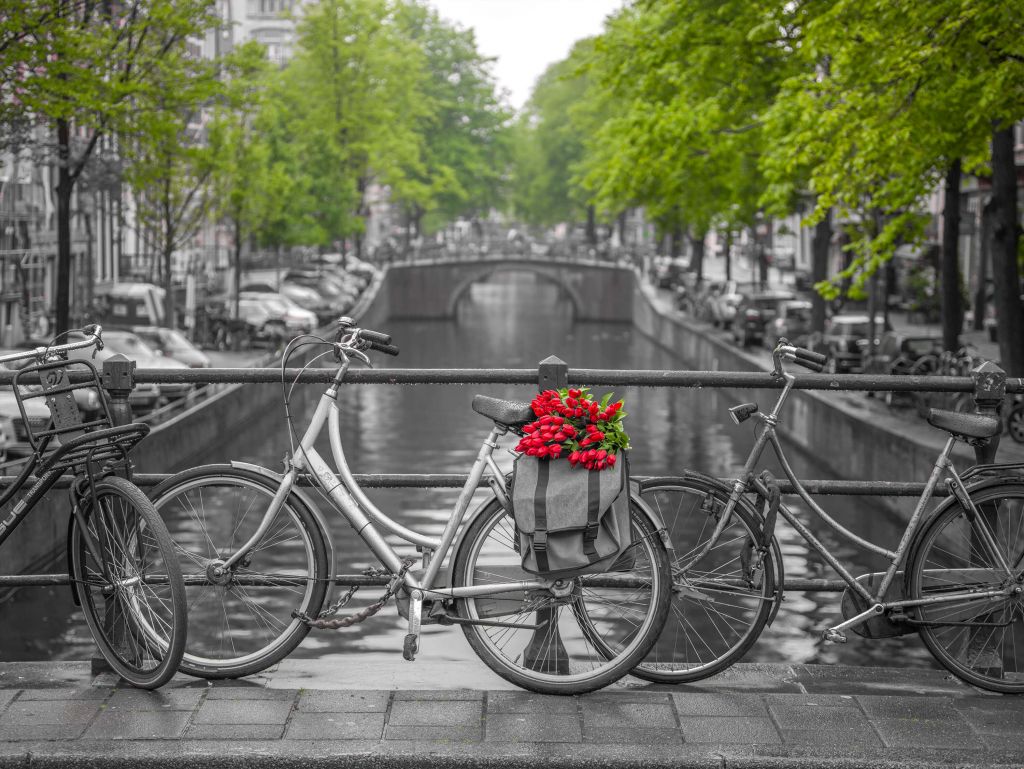 Vélo avec des fleurs