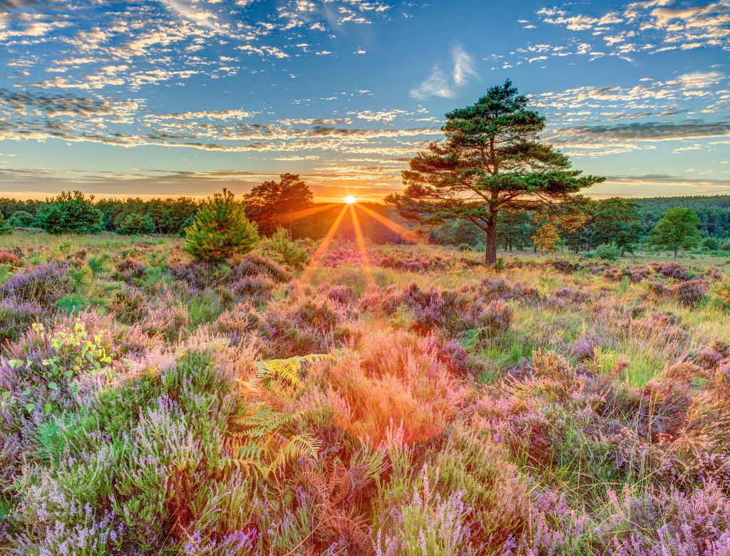 Coucher de soleil à la campagne