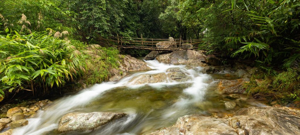 Pont suspendu en bois