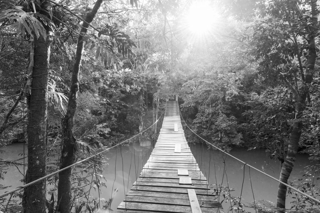 Pont suspendu noir et blanc