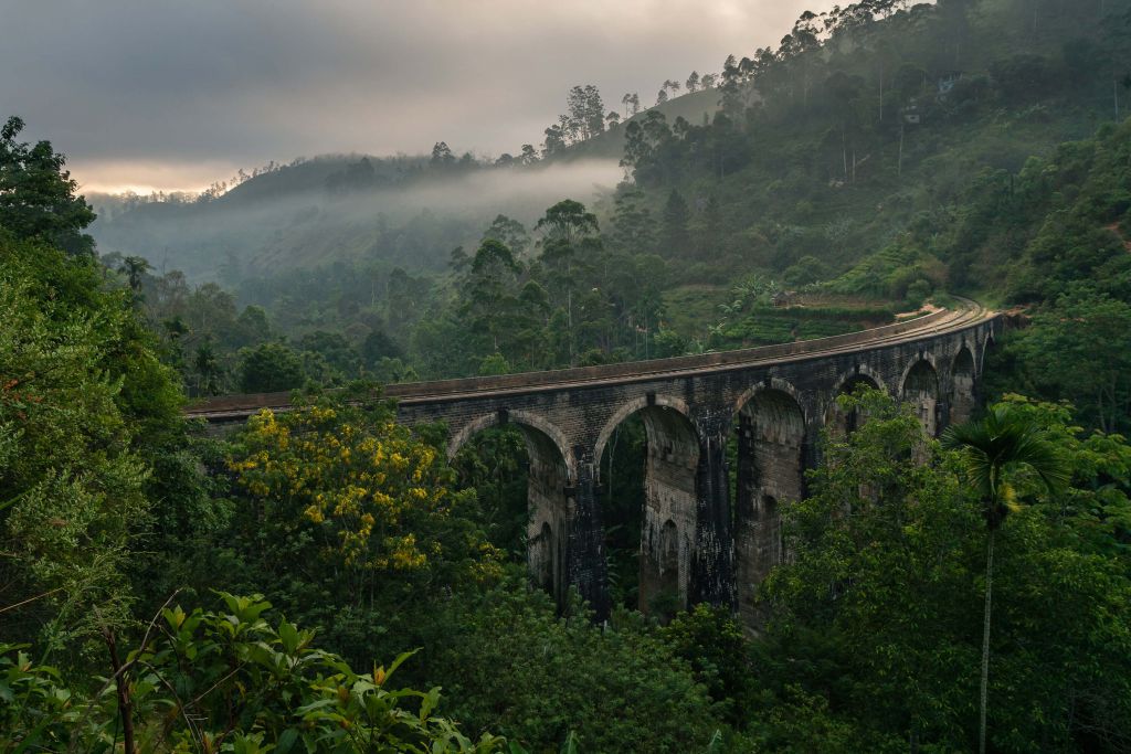 Pont ferroviaire à travers la jungle