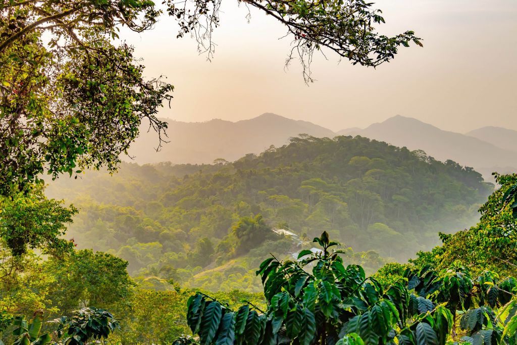 Paysage de montagne tropicale
