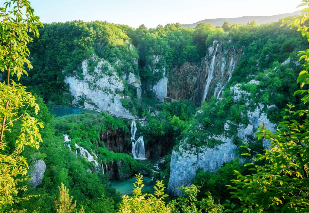 Vue sur la jungle