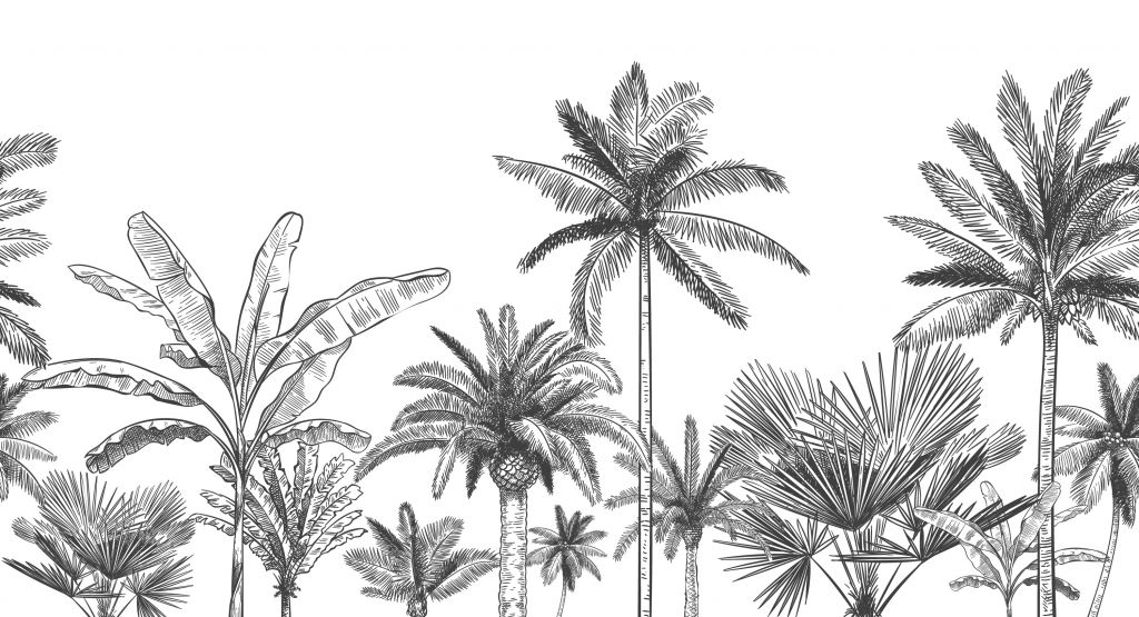 Palmiers dessinés