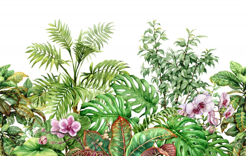 Plantes tropicales à l'aquarelle