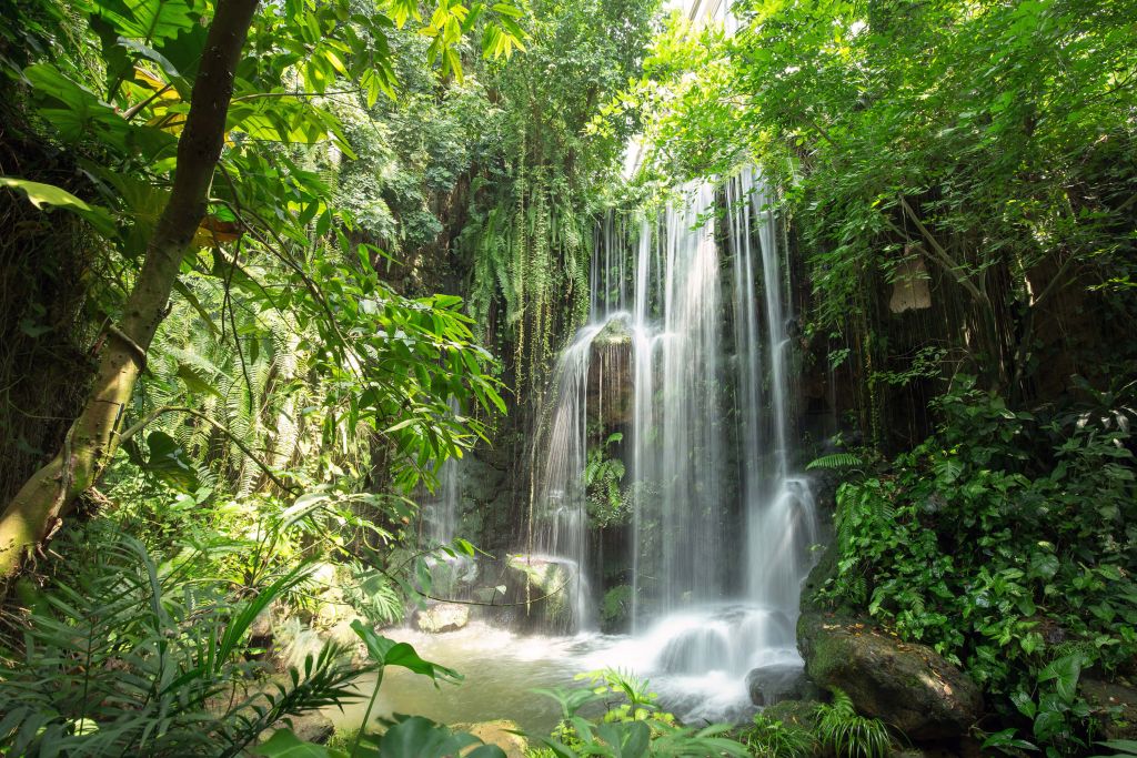 Chutes d'eau magique