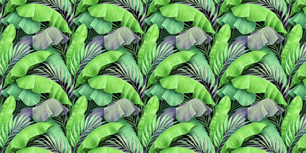 Feuilles tropicales