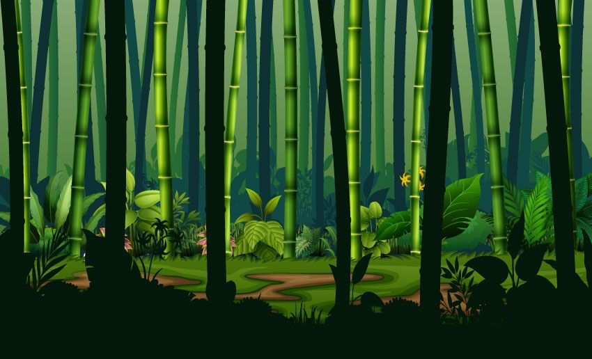 Jungle bambou
