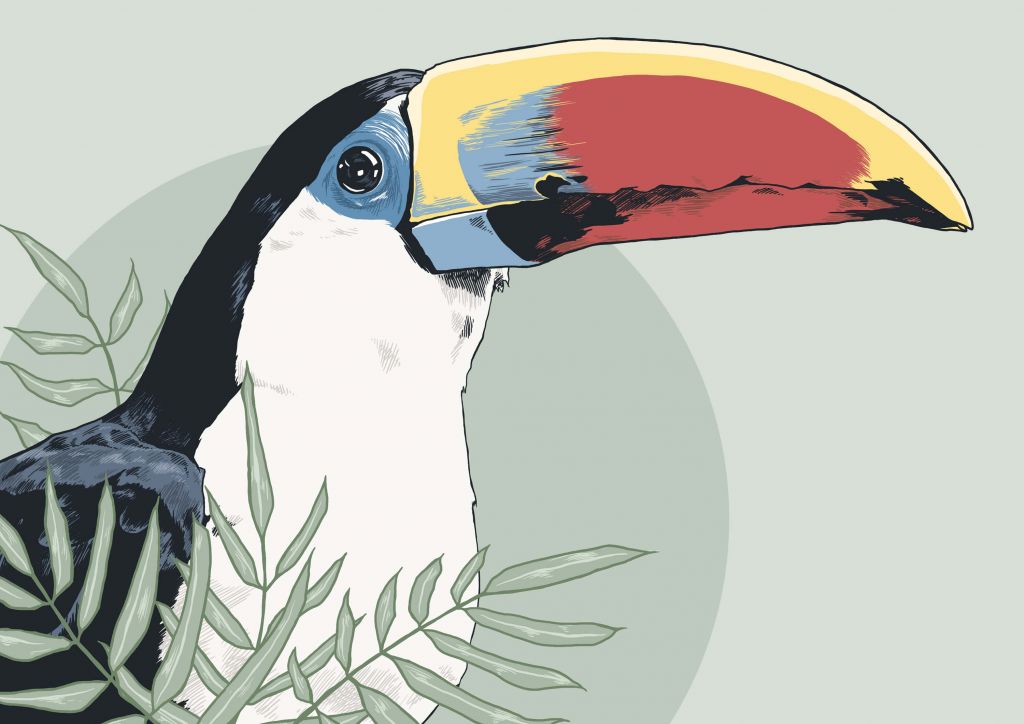 Toucan coloré