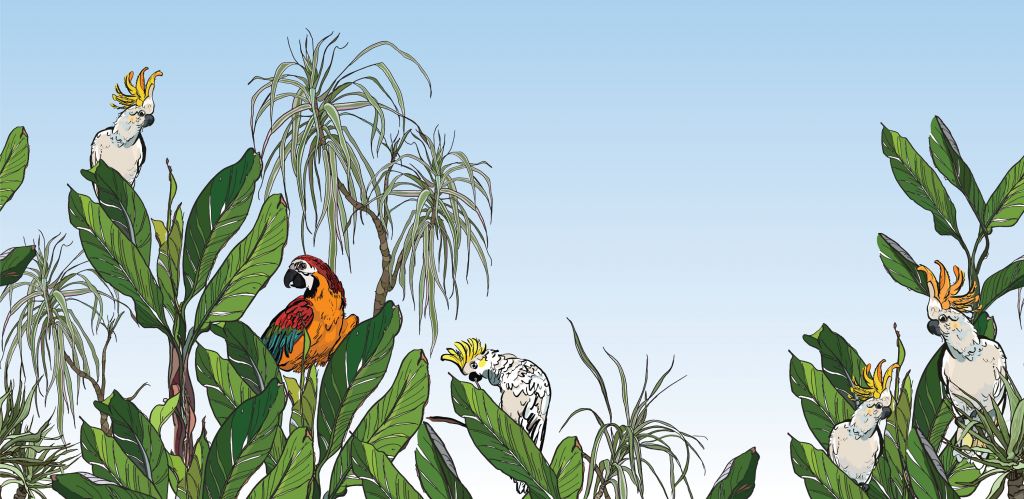 Oiseaux dans la jungle