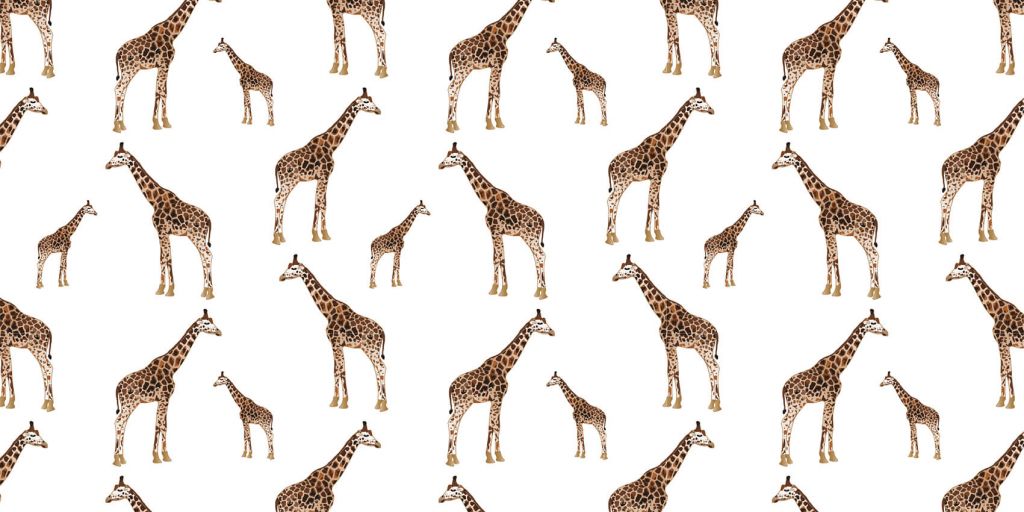 Girafes