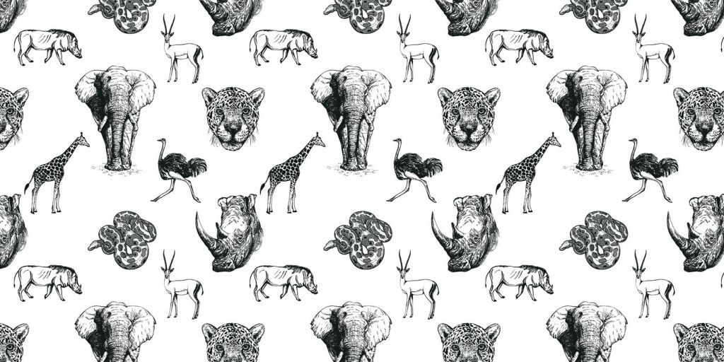 Croquis d'animaux
